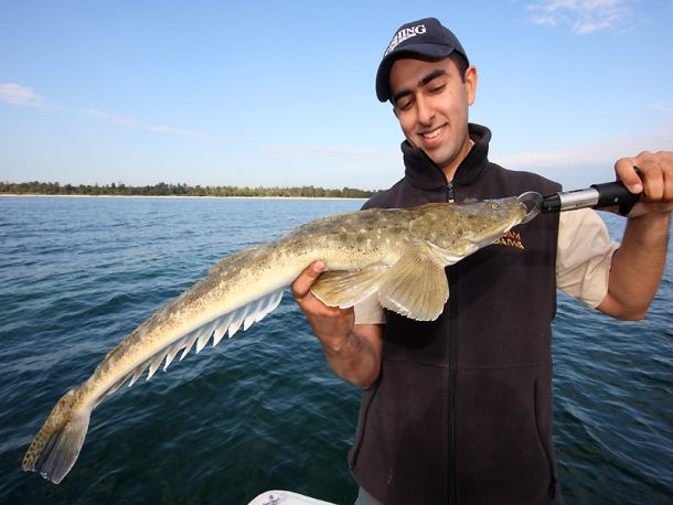 Fishos urged to check rules this summer